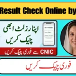 Ehsaas 8171 Result Check Online by CNIC – Latest BISP Update 2026