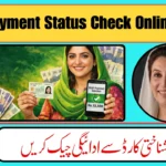 BISP 8171 Payment Status 2026 – Check Your Benazir Kafalat Rs.13,500 Online