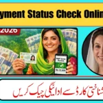 PMT Score Check by CNIC 2026 – Find Your BISP Eligibility in Seconds