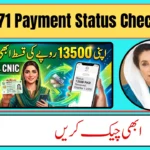BISP 8171 Payment Status 2026 – Complete Guide