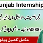 Punjab Internship Program 2026: CM Climate Leadership Program Full Details
