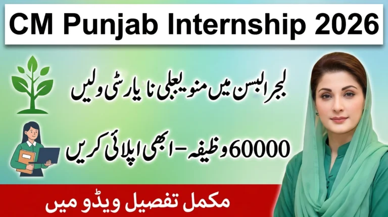 Punjab Internship Program 2026